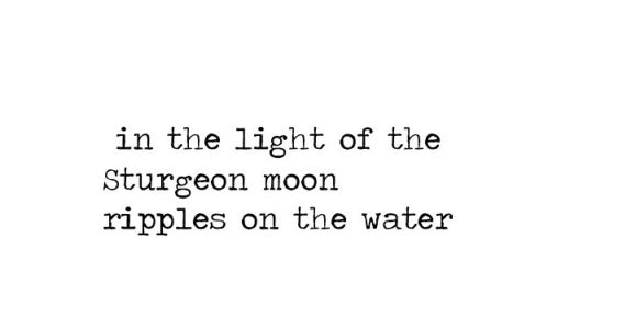sturgeon moon